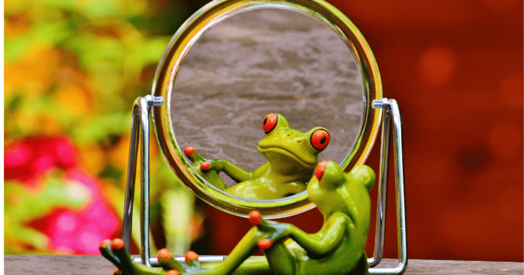 frog looking into mirror